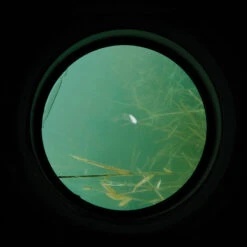 Aquascope Carpe Carp Spirit Water Scan 17 Aquascope Carpe Carp Spirit Water Scan -Magasins De Pêche En Vedette 114401 h