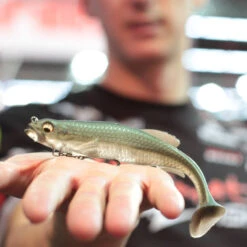 Leurre Swimbait Megabass Magdraft 15cm 35g -Magasins De Pêche En Vedette 117443 c