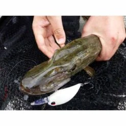 Leurre Dur Crankbait Carnassier Duo Realis Crank M65 11a 6.5cm 16g -Magasins De Pêche En Vedette 125510 b