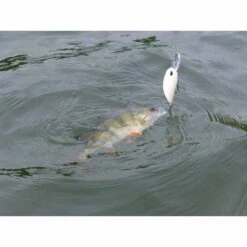 Leurre Dur Crankbait Carnassier Duo Realis Crank M65 11a 6.5cm 16g -Magasins De Pêche En Vedette 125510 d