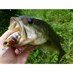 Leurre Dur Crankbait Carnassier Duo Realis Crank M65 11a 6.5cm 16g -Magasins De Pêche En Vedette 125510 e