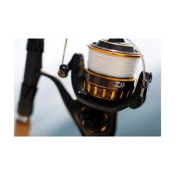 Moulinet Daiwa Bg Black Gold 6500 -Magasins De Pêche En Vedette 127775 c