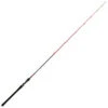 Canne Casting Tenryu BC-Injection 62 XH 1,88m 28-112g -Magasins De Pêche En Vedette 129242 a