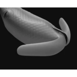 Leurre Frog Deps Basirisky 70, 7.5cm, 21g 18 Leurre Frog Deps Basirisky 70, 7.5cm, 21g -Magasins De Pêche En Vedette 134564 f