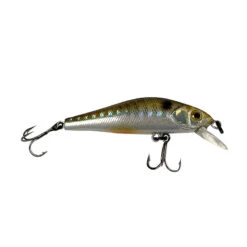 6 Poissons Nageurs Truite + Boîte Offerte -Magasins De Pêche En Vedette 158515 6