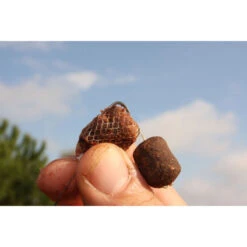 Filet Soluble Carpe Korda Longchuck Funnel Web Pva System (7m) 11 Filet Soluble Carpe Korda Longchuck Funnel Web Pva System (7m) -Magasins De Pêche En Vedette 47521 e