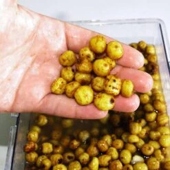 Graines Sèches Carpe Active Baits Tiger Nuts Jumbo -Magasins De Pêche En Vedette 49756 e