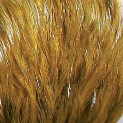 Fly Fishing Plumes Jmc Cou Indien Top Grade Jmc