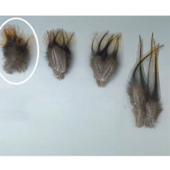Fly Tying Plumes Pelle D'épaule De Coq Pardo Grade 1 Jmc