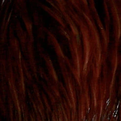 Fly Tying Cou De De Coq Indien Naturel Jmc