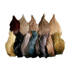 Fly Tying Cou De Coq Indien Teint Jmc