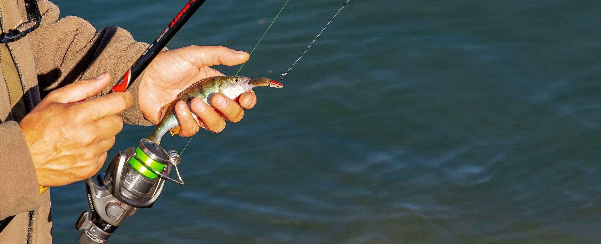 Magasins De Pêche En Vedette -Magasins De Pêche En Vedette angler 3778880 1920